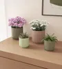 Artevasi Luna Pot, Pink, 0,36 l, 85 mm, 80 mm, 12 Stück(e) Produktbild-Vorschau 4