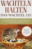 Wachteln halten - Das Wachtel 1x1 Produktbild-Vorschau 1