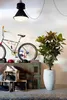 A stylish indoor scene with a bicycle, plant, and storage units. Voir les images du produit