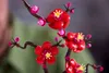 LEGO Botanicals Pflaumenblüte - Pflegeleicht - Kreatives Produktbild-Vorschau 7