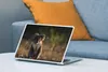 MuchoWow® Laptop Aufkleber Sticker Cover Koala - Sonne - Produktbild-Vorschau 4