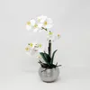 künstliche Orchidee, Phalaenopsis in rundem silbernen Topf Produktbild-Vorschau 5