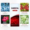 Cardital Herz Tropfen – Weißdorn, L-Arginin, L-Carnitin, Produktbild-Vorschau 5