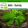 SAFLAX - BIO - Šalvěj - Salvia officinalis - 60 Semena - S Náhled obrázku produktu 11