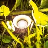 LED Solar Pflanzenstrahler Produktbild-Vorschau 4