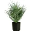 Europalms Fächerpalme Kunstpflanze 55cm 82509401 Náhled obrázku produktu 1