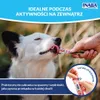 Inaba Dog Churu Hundesnack Lachs & Garnelen Geschmack 4 x Produktbild-Vorschau 5