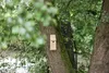 A wooden birdhouse is attached to a tree trunk in a natural outdoor setting with blurred foliage and water in the background. Produktbild-Vorschau