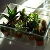 Dekoglas Jardiniere Schale RECTANGULAR 30x20x10cm klar Produktbild-Vorschau 3