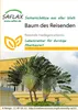 Artikelbild 1 von 'Baum des Reisenden' aus der Kategorie Exotische Samen Produktbild-Vorschau