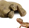 Jaskinia EXO TERRA dla gadów duża 1 szt Podgląd zdjęcia produktu 4
