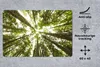 MuchoWow® Schreibtischunterlage Hohe grüne Bäume im Produktbild-Vorschau 2
