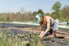 EraGreen Bändchengewebe 5m x 0,5m Bodengewebe 100g/m² Produktbild-Vorschau 5