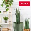 KADAX Blumentopf aus Kunststoff "Costa", mit Produktbild-Vorschau 6