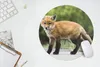 MuchoWow® Mauspad Mousepad Fuchs - Welpe - Straße 40x40 cm Produktbild-Vorschau 5