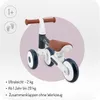 A 3-wheeled balance bike for toddlers, presented in a circular graphic with text. Anteprima dell’immagine prodotto