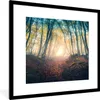 MuchoWow® Gerahmtes Poster Wald - Nebel - Sonne - Herbst Produktbild-Vorschau 1