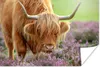 MuchoWow® Poster Schottischer Highlander - Lila - Blumen Produktbild-Vorschau 1