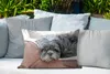 MuchoWow® Outdoor Kissen - Shih Tzu-Hündin auf ihrem Bett Produktbild-Vorschau 4