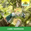 Neudorff Lauril Baumwachs 250 g trocknet innerhalb von 24 Produktbild-Vorschau 5