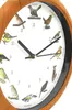 A close-up view of a wall clock with a white face decorated with illustrations of various birds and numbers. Produktbild-Vorschau