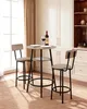 Set da bar VEVOR (3 pezzi) con 2 sedie da bar e bordi Anteprima dell’immagine prodotto 2