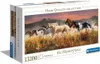 Clementoni 38006 - Puzzle da 13200 pezzi - Collezione di Anteprima dell’immagine prodotto 6
