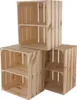 4x NATUR HOLZKISTEN hochkant mit Regalbrett / NEU / helle Produktbild-Vorschau 2