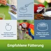 PANTO Papageienfutter Spezial mit Pluramin (ohne Nüsse) Produktbild-Vorschau 4