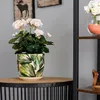 A potted plant with pink flowers sits on a wooden table next to a shelf with a vase of white flowers. Voir les images du produit