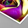 Poster - Poster ohne Rahmen - Blume Farbe Rose - 40x40 cm - Produktbild-Vorschau 2