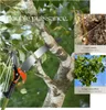 Coupe branches télescopique 2 en 1 - vert Voir les images du produit 4