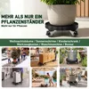 Roulette pour plantes ROSEJANE, réglable en hauteur, Voir les images du produit 6