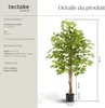 Ficus artificiel FIDA à l'aspect naturel - 160 cm Voir les images du produit 6