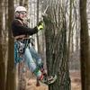 Attrezzi per l'arrampicata sugli alberi, imbracatura di Anteprima dell’immagine prodotto 1