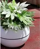 Blumentopf Riviera Weiß Ø 50 cm Ø 50 cm Kunststoff Rund Produktbild-Vorschau 2