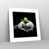 Poster - Poster ohne Rahmen - Natur Pflanze Wissenschaft Produktbild-Vorschau 7