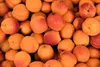Kamelur 1kg BIO Aprikosen schonend getrocknet, Produktbild-Vorschau 3