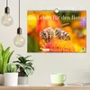 Ein Leben für den Honig: Bienen und Imker (Wandkalender Produktbild-Vorschau 8