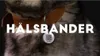 Spotted! Pro Lederhalsband schwarz, Länge: 45 cm / Breite: Produktbild-Vorschau 5
