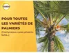 Nawóz do Palm i Roślin Śródziemnomorskich Solabiol, 1,5kg, Podgląd zdjęcia produktu 3