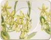 Teeuntertasse 17x14cm AMAZONIA Villeroy & Boch**6 Produktbild-Vorschau 1