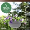 KONZEPT Blumenampel Hängend für Innen und Außen, Produktbild-Vorschau 3