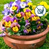 Selbstklebendes Kupferfolienband, Multifunktionales Produktbild-Vorschau 8
