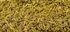 Getzoo Maden 25g Produktbild-Vorschau 2