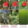 Akku-Rasentrimmer, Elektrischer Grasschneider, mit 2 Produktbild-Vorschau 6