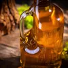 KADAX Bouteilles de vin 1,75L, 5 pièces, grandes bouteilles Voir les images du produit 8