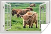 MuchoWow® Poster Ansicht - Gras - Schottisches Hochlandrind Produktbild-Vorschau 1