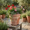 Teramico Universal Topffüße 4er Set Terracotta Frostsicher Produktbild-Vorschau 6
