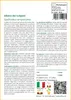 SAFLAX  - Albero dei tulipani - 30 semi - Spathodea Anteprima dell’immagine prodotto 3